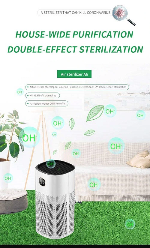 Negative Ion Air Purifier with H13 Anti Virus HEPA Filter